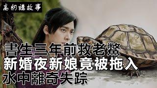 民間故事：書生三年前救老鱉，新婚夜新娘竟被拖入水中離奇失踪｜高朗講故事