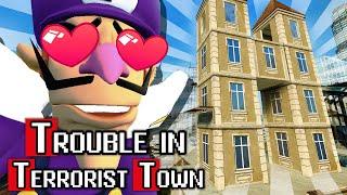 Nostalgie auf den Rooftops! | TTT - Trouble in Terrorist Town (Part 10)