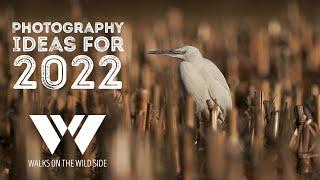 Ideas to improve your nature and wildlife photography in 2022