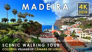 Madeira 4K Walking Tour in Portugal's Most Beautiful Village: Câmara de Lobos  | City Walk 60fps