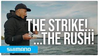 The Strike, The Rush! | Catching big Perch, Zander and Pike with the YASEI fishing Lures