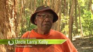 Landholder Stories: Uncle Larry Kelly - Gumbaynggirr Elder