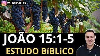 JOÃO 15:1-5 (ESTUDO BÍBLICO)