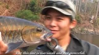 Rod&Line Fishing Series No 7: A Date With Chinese Mahseer Thailand Part 1