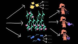 Games and modularity | Intro to CS - Python | Khan Academy