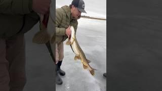 Good day fishing #shortsviral #fishing #fish #fishinglife #shortsviral #icefish #catchingfish#shorts