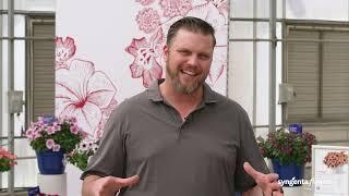 New Varieties from Syngenta Flowers | CAST 2022