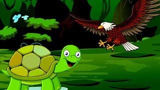 Hawk and their Friends | The Tortoise and The Eagle - Jungle Stories for Kids