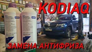 Kodiaq замена антифриза