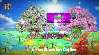 MT TSO SUAB PAJ NRUAG TSOB NTOO NTSUAB ROV CIAJ DUA 3112025