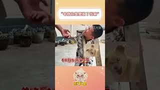 小孩哥：我的亲爹啊！你是要鲨了我嘛！#万万没想到 #内容过于真实