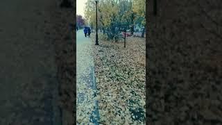 Золотая осеньЖёлтые листья, романтика.Фотосессии. Прогулки.Семья.Любовь. Любимое время года. Осень