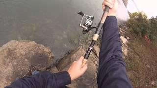 Niagara river steelhead jumps part-3