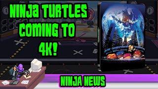 TMNT 4K Reveal, VR Game Tease, Mirage Statues & Vacation Turtle Van?! | Ninja News #5