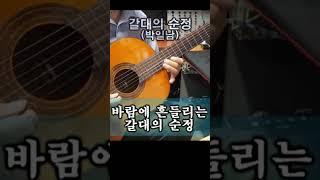 갈대의 순정 (박일남)