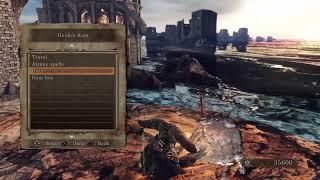 Dark souls 2. Despawning things