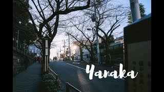 Tokyo | Day Trip to Yanaka & Walk to Senso-Ji 