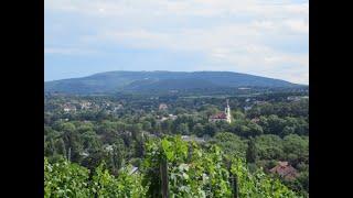 Wandern am Stadtrand von WIEN