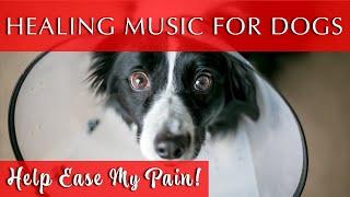 Healing Music for Dogs and Humans | Ease the Pain!