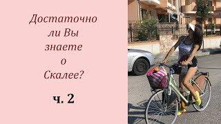 Вся правда о Скалее ч.2