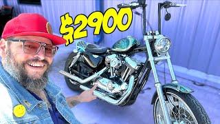 The CHEAPEST Harley Davidson I could find at the Dealership