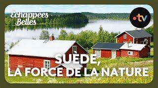 Suède, la force de la nature - Échappées belles