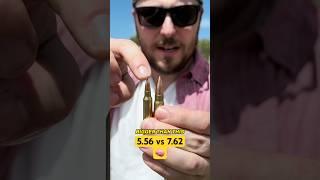 Big brain moment - 5.56 vs 7.62 