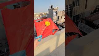 Mere hath se patanggir gyiab kyahoga ??#shorts #patang#kites#viral