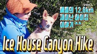 Ice House Canyon Hike( 산 강아지 애뜰의 12.8km 즐거운 하이킹 이야기)