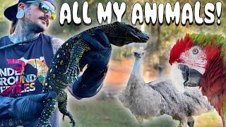 ALL OF MY ANIMALS IN ONE VIDEO! FULL RANCH TOUR