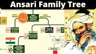 Ansari Family Tree | Abu Ayyub Ansari Family | Ansari family | Infotainment Channel