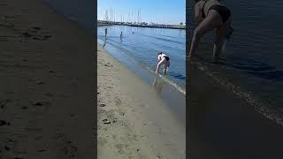 Cyprus. Limassol Beach. . Кипр. Лимассол. Пляж