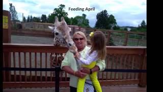 2018 Gianna's June Visit to Animal Adventure