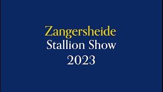 Stallion presentation studfarm Zangersheide 2023