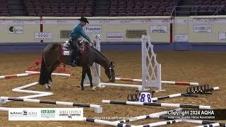 Junior Trail - 2024 AQHA World Championship Show