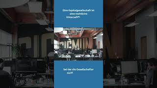 Kapitalgesellschaft einfach erklärt (explain it simple - Erklärvideo)