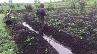 KINSHASA: L'AGRICULTURE  PEUT ELLE DEVELOPPER LA RD CONGO ?