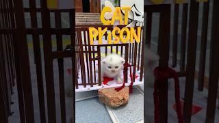 help the kitten escape skibidi  #skibiditoilet #cat #speaker