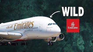 Every other airline is being DESTROYED by Emirates | Aviation Insight