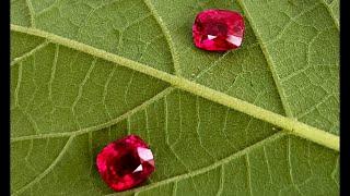 （宝石搬运工）缅甸myanmar，抹谷mogok，红宝石ruby，蓝宝石sapphire，尖晶石spinel，宝石珠宝源头直播，LIVE5/16