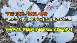 군산권, 방파제 포인트 갑오징어.