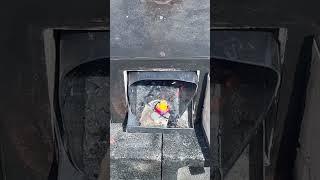 MARIO BROTHER MAGIC MUSHROOM    MELT by W2M #asmr #shorts #mushroom