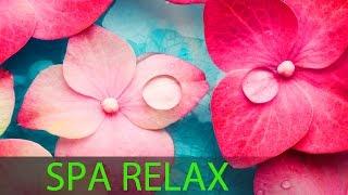 6 Hour Super Relaxing Spa Music: Meditation Music, Massage Music, Relaxation Music, Soothing 594