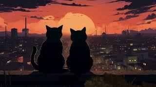 Sunset on the rooftop  Lofi cat • Lofi hiphop to Chill