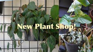 Wishlist Houseplant Shopping!!