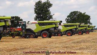 Claas - Fendt - MAN / Getreideernte - Grain Harvest  2024