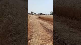 New work of my brother            contract for wheat harvest.    by reeper 9630318642