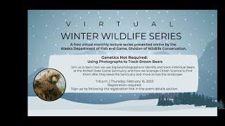 Winter Wildlife Series: Genetics Not Required: Using Photographs to Track Brown Bears