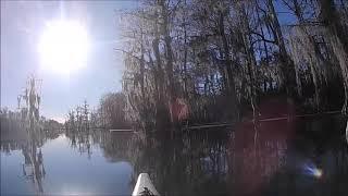 Merritts Mill Pond (Marianna, FL) 12/26/2020