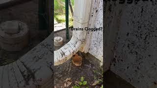 Cleaning French Drains